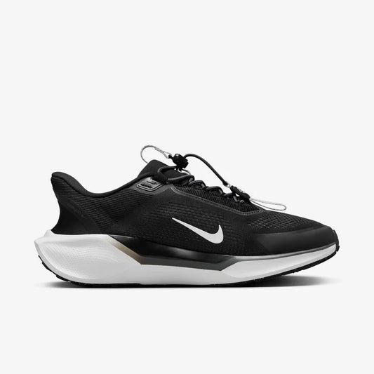 Nike Pegasus EasyOn
