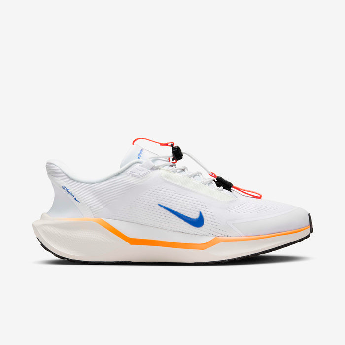 Nike Pegasus EasyOn "Blueprint"