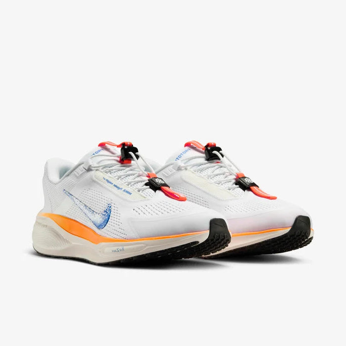 Nike Pegasus EasyOn "Blueprint"