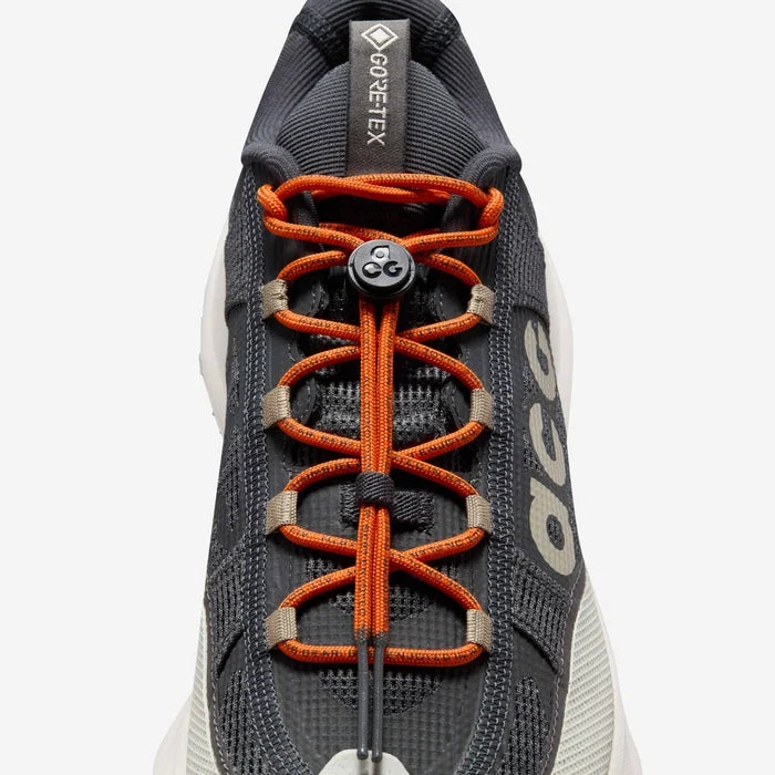 Nike ACG Mountain Fly 2 Low GORE-TEX